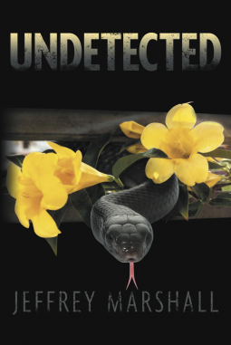 book cover for Undetected