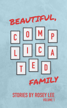 book cover for Beautiful, Complicated Family