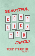 book cover for Beautiful, Complicated Family