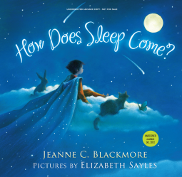 book cover for How Does Sleep Come?