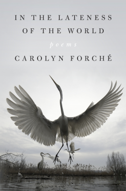 book cover for In the Lateness of the World