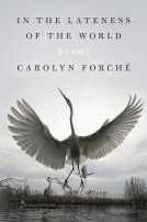 book cover for In the Lateness of the World