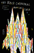 book cover for The Black Cathedral