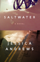 book cover for Saltwater