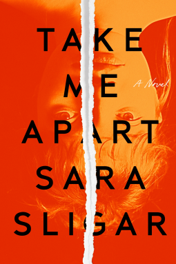 book cover for Take Me Apart