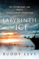 book cover for Labyrinth of Ice