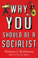 book cover for Why You Should Be a Socialist