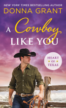 book cover for A Cowboy Like You