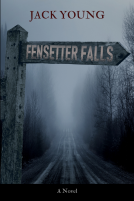 book cover for Fensetter Falls
