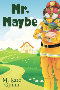 book cover for Mr. Maybe
