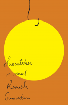 book cover for Suncatcher