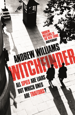 book cover for Witchfinder
