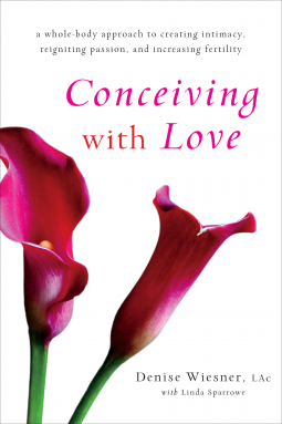book cover for Conceiving with Love