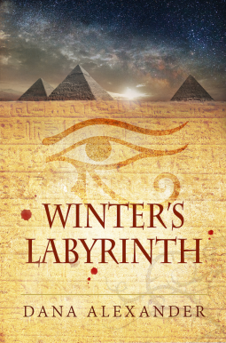 book cover for Winter's Labyrinth