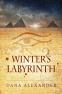 Cover Image: Winter's Labyrinth