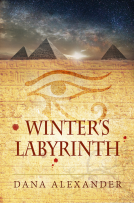 book cover for Winter's Labyrinth