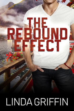 book cover for The Rebound Effect