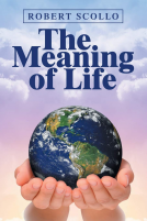 book cover for The Meaning of Life