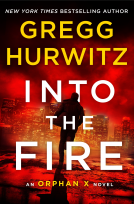 book cover for Into the Fire