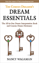 book cover for The Curious Dreamer's Dream Essentials