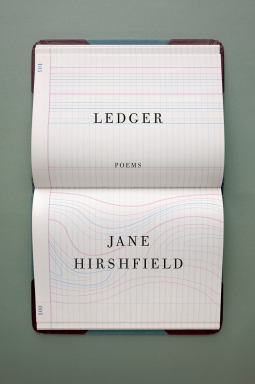 book cover for Ledger