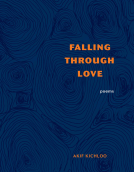 book cover for Falling Through Love