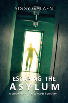 book cover for Escaping The Asylum