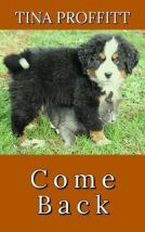 book cover for Come Back