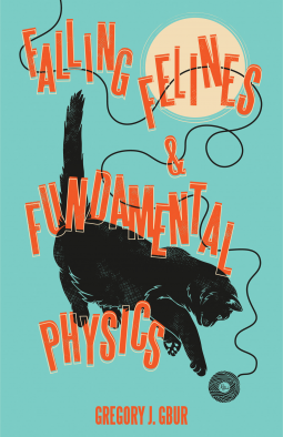 book cover for Falling Felines and Fundamental Physics