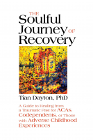 book cover for The Soulful Journey of Recovery