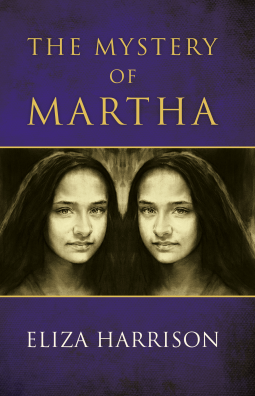 book cover for The Mystery of Martha