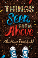 book cover for Things Seen from Above