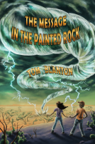 book cover for The Message in the Painted Rock