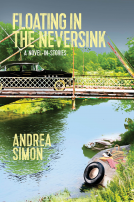 book cover for Floating in the Neversink