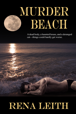 book cover for Murder Beach