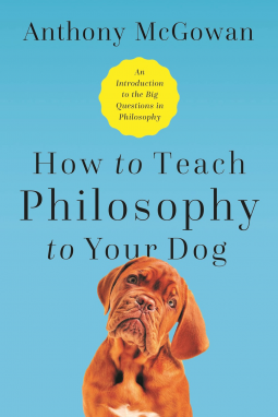book cover for How to Teach Philosophy to Your Dog