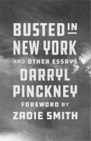 book cover for Busted in New York and Other Essays
