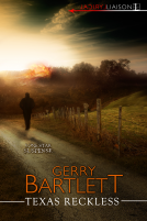 book cover for Texas Reckless