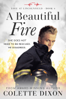 book cover for A Beautiful Fire
