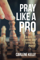 book cover for Pray Like A Pro