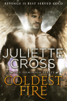 book cover for Coldest Fire