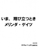 いま、翔び立つとき 表紙