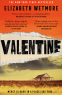Cover Image: Valentine
