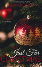 book cover for Not Just For Christmas