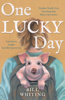 book cover for One Lucky Day