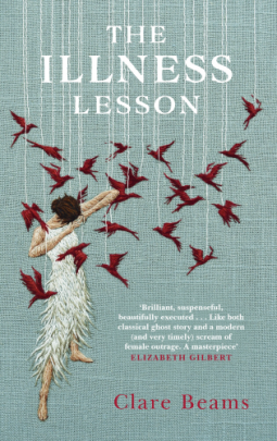book cover for The Illness Lesson