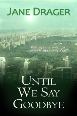 book cover for Until We Say Goodbye