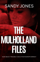 book cover for The Mulholland Files