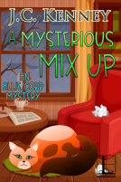 book cover for A Mysterious Mix Up