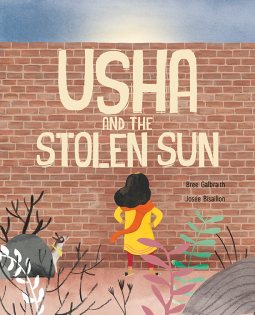 book cover for Usha and the Stolen Sun